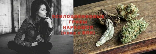 дживик Заволжье