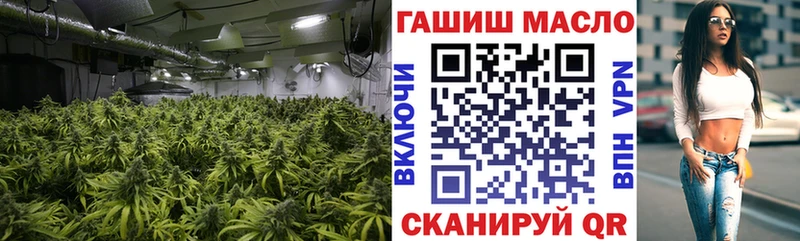 Купить  Ликино-Дулёво  Дистиллят ТГК гашишное масло 